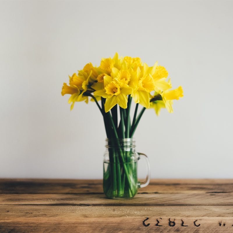 CESCreditUnion's tweet photo. Happy first day of spring! What is your favorite thing about spring? Also, stop in with your kids so they can participate in our spring coloring contest! Open to ages 0-14. 4 winners will get a $25 gift card! #CESCU #CUdifference #Spirng https://t.co/xDtlCd6pQR