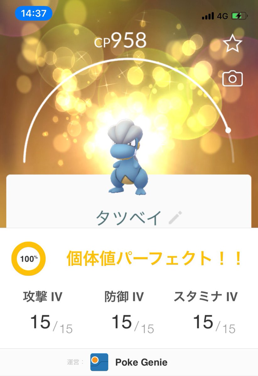キラ確定 キラフレンドと何を光らせる 大親友 4 5更新 みんなのポケgo みんポケ