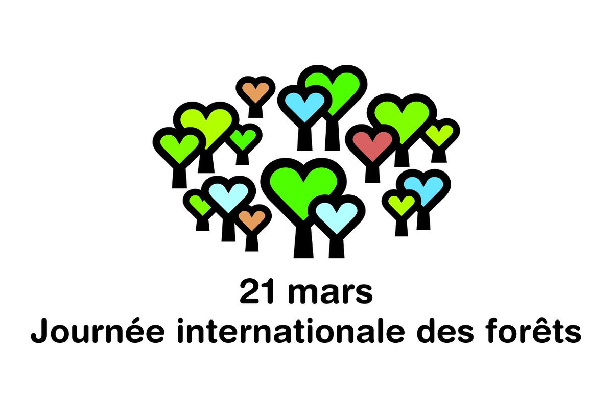 J-1⃣
21 mars Journée internationale des forêts 🌳🌲
Célébrons les forêts, découvrons-les, partons à la rencontre 
👉 Tous les événements journee-internationale-des-forets.fr 
#JIF2019 #IntlForestDay #forêt #arbres