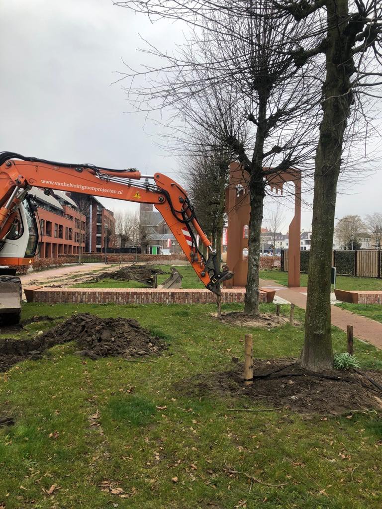 Het was een bijzonder gezicht vanmiddag: 10 lindes die op de Markt van Zevenbergen stonden, verhuisden naar hun nieuwe stek bij de Kasteeltuin. bit.ly/2OgXBj7 #Zevenbergen #Centrumontwikkeling #Moerdijk