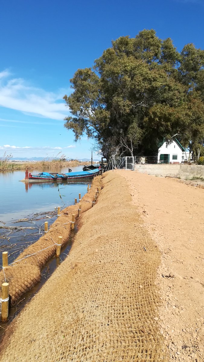 Paimed_es's tweet photo. Estamos en l'Albufera de Valencia para estabilizar, revegetar y controlar la erosión de la mota de separación de los canales y 'tancats' de este singular lugar.
+info: https://t.co/yYGw7c3lFE
#bioingenieria #restauracionambiental #paisajismo #controlerosion #albufera #valencia https://t.co/uBvtyuofpO