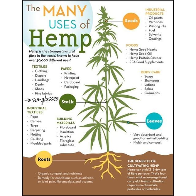 RootBioscience's tweet image. Check out this cool infographic highlighting the many uses of #Hemp!! 🌿💚 Let us know what you think! #WellnessWednesday #HempHempHooray ✨
.
.
.
.
.
.
.
.
.
.
.
.
.
.
.
#RootBioscience #Cannabidiol #CBD #CBDlife #Hemp #Pets #Hemplife #CBDPets #Healtha… ift.tt/2U0jhp4