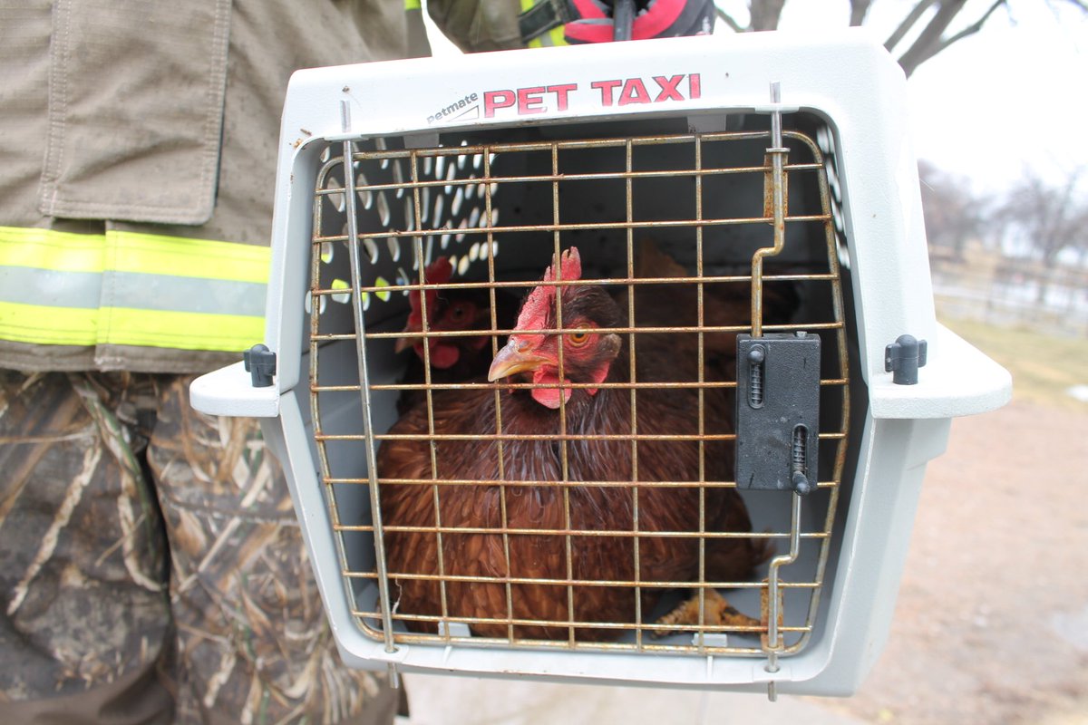 Nebraska Humane Society tweet media