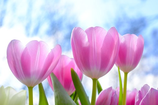 blidepeize's tweet photo. Er is nog plek!

ToM: Helder vertellen wie je bent
dinsdag 2 april, 9.30 - 12.00 uur

Tijdens deze Thema-ontMoeting gaan we aan de slag met het helder krijgen waarin jij je precies onderscheidt van anderen. 

Meer informatie en aanmelden: 
https://t.co/W9IXDj6eiV https://t.co/OVPY4v8oyx