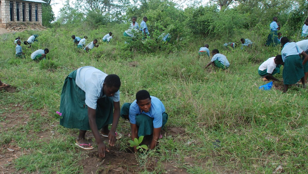 Environment_Ke's tweet photo. The theme for this year's #IDF2019Ke celebrations is Forests and Education which seeks to Inculcate a culture change in children to help increase the forest cover of Migori County by 9.39 to the recommended 10% forest cover by 2022 #MitiNiPoa #CountyForestCover #IDF https://t.co/1aRxZes8DN