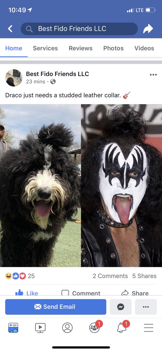 MackaylaAlsip's tweet photo. We love doing Draco’s hair at work ❤️😂 @genesimmons @KISSOnline https://t.co/OCELCXZX51