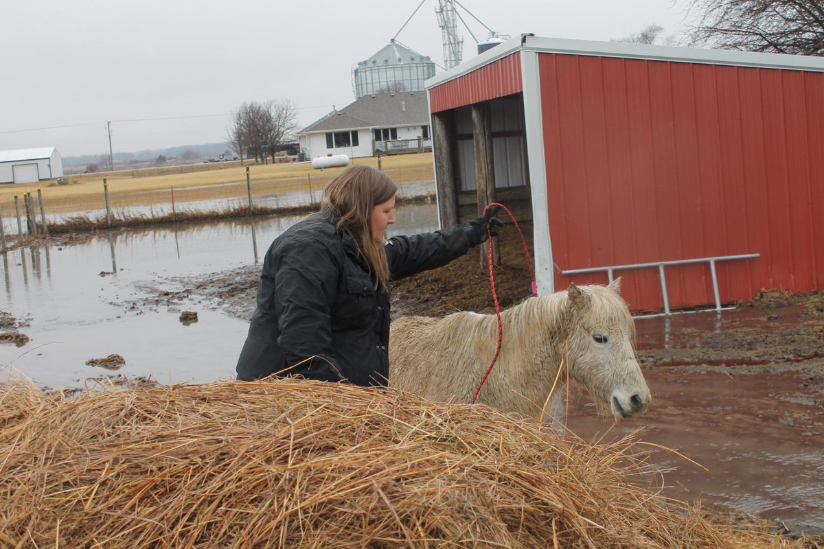 Nebraska Humane Society tweet media