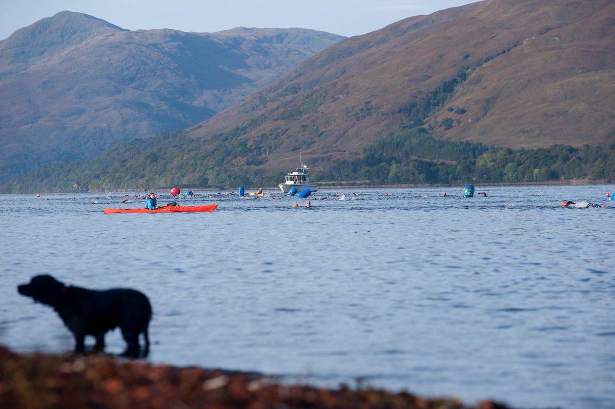 Our early bird rates end on 31st March so make sure you don't miss out! 
Book today and save on both individual and team entry - sientries.co.uk/event.php?even…