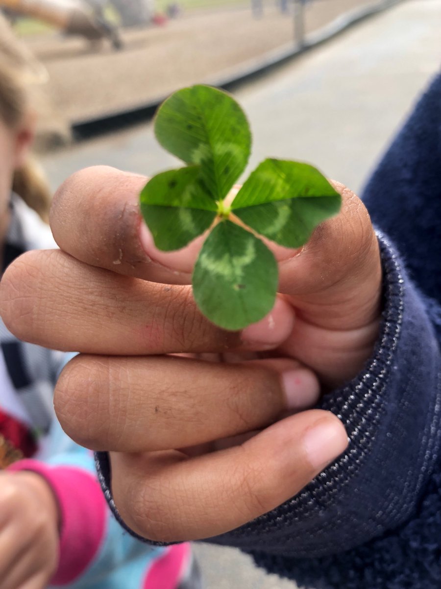 ⁦<a href="/BearCreekElem/">Bear Creek</a>⁩ #teambce #wearegcisd  First day of Spring , outside recess, AND a 4 Leaf Clover!!! Our Lucky Day at Bear Creek 1st grade!!!