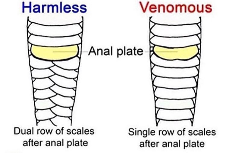 Lord Scummander & Movies tweet media