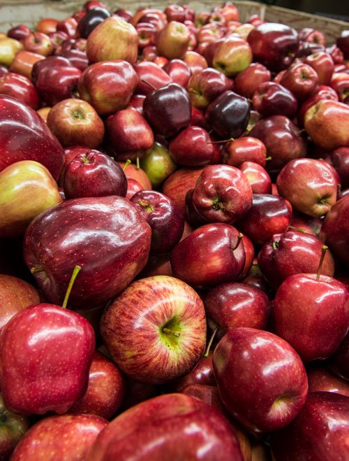 OregonStateExt's tweet photo. OSU Extension has revised its valuable pest management guide for tree fruits in the mid-Columbia area. New pesticide and herbicide application rates and recommendations, by tree growth stage, for pests that infect fruit trees. https://t.co/eBCysK07Mj https://t.co/ovKHR2WVtK