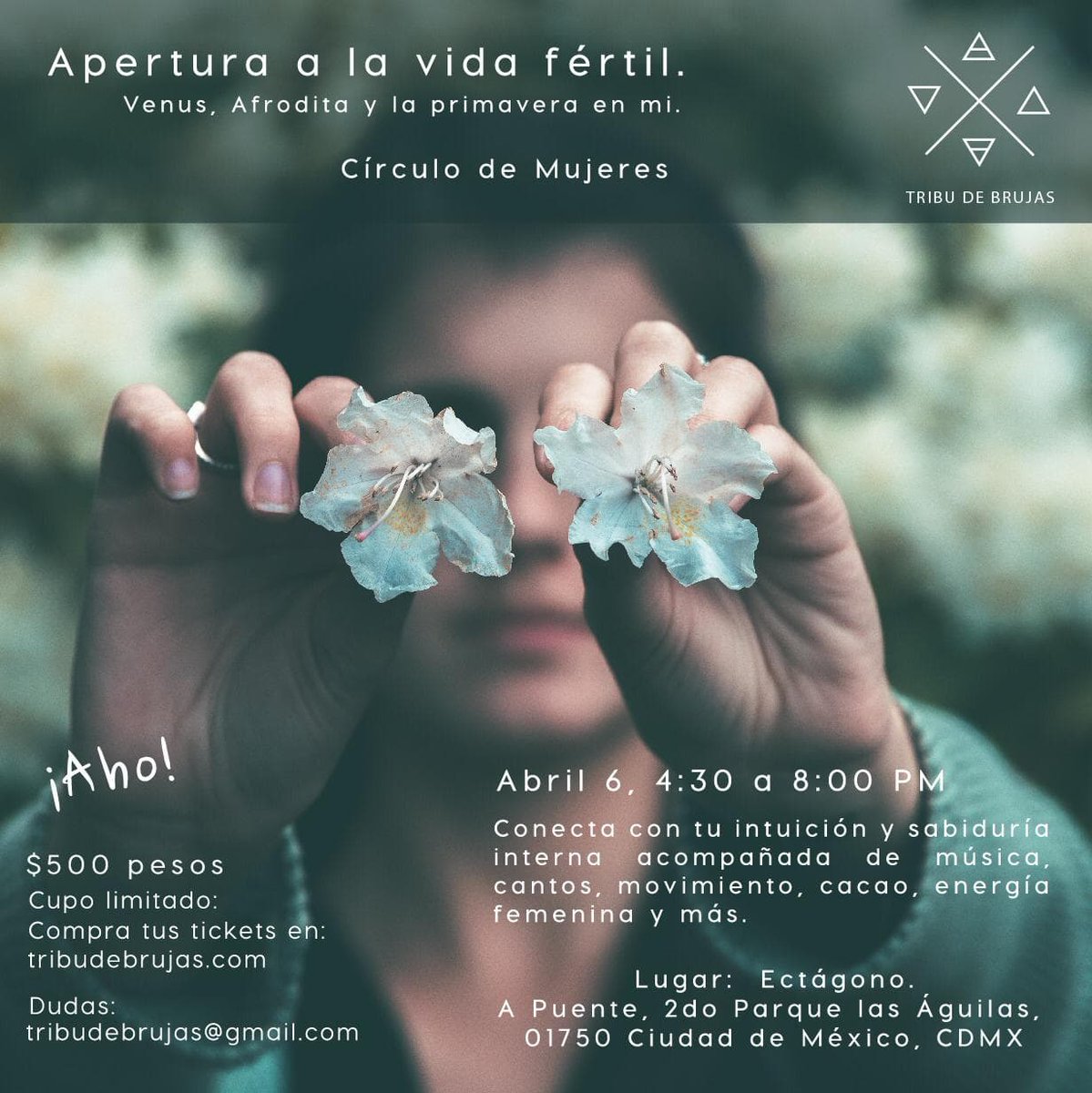 Ectagono_'s tweet photo. ¡El próximo 6 de ABRIL tendremos un evento increíble para mujeres con Tribu de Brujas y ya están a la venta los boletos!
Trabajaremos con la primavera, Venus, Afrodita y la fertilidad en distintos aspectos de nuestras vidas. 🔥✨
Boletos en: https://t.co/SKn7d0pQVa https://t.co/IwJOm8YtMh