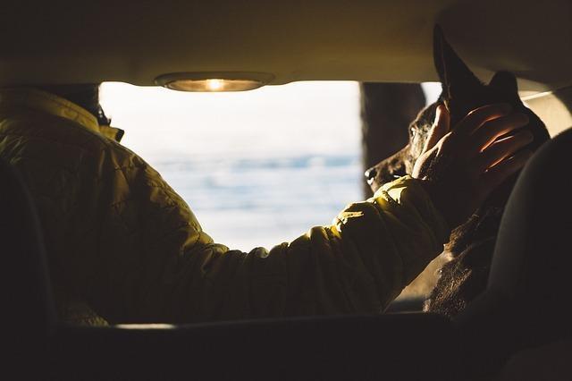 AcSakila's tweet photo. 7 Tips For Road Trip With Puppy You Need To Know https://t.co/UBJlxPtqdW https://t.co/KLDSQoLSzE