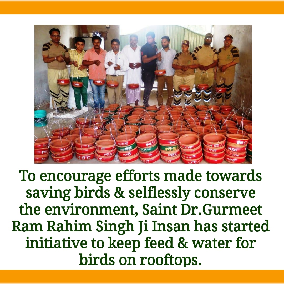 RudraInsan2's tweet photo. #SaveBirdsSaysStRamRahim 
#WorldSparrowDay 
@Gurmeetramrahim ji and his followers have taken the initiative to help save the birds by providing them feed and water https://t.co/Q1P90Mu11q