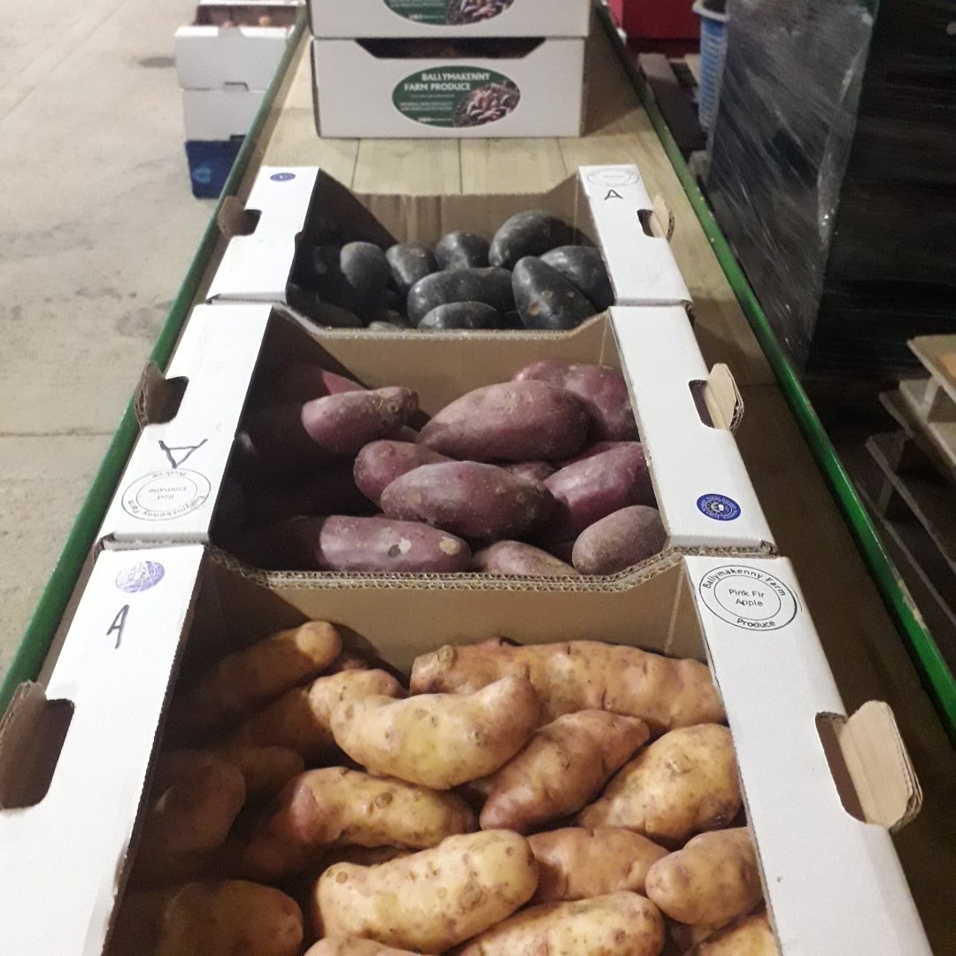 BallymakennyF's tweet photo. #Spuds heading out today. Wholesalers fully stocked with fresh potatoes. Every single box sold is important to us. DM me if you don't use one of our wholesalers Our gorgeous #violetta and #RedEmmalie look and taste fab not to mention #pinkFirApple https://t.co/bXD9PXbKMX