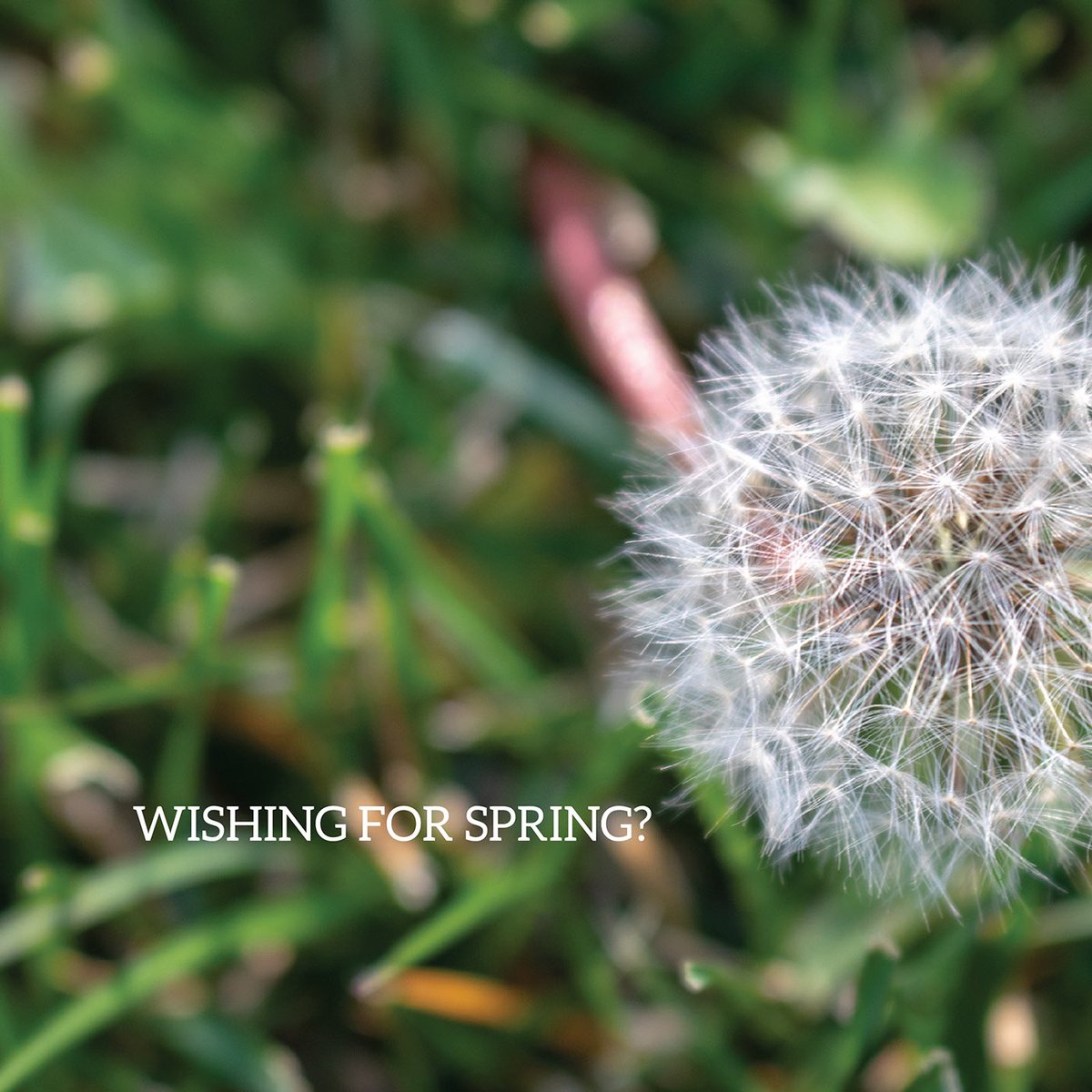 VCWDWater's tweet photo. Happy first day of Spring!! Lucky for us we’re starting off Spring with some much needed rain💧! What’s you’re favorite thing about Spring🌷?? #VCWD #Spring #FirstDayofSpring https://t.co/oxW5fQ7aPM
