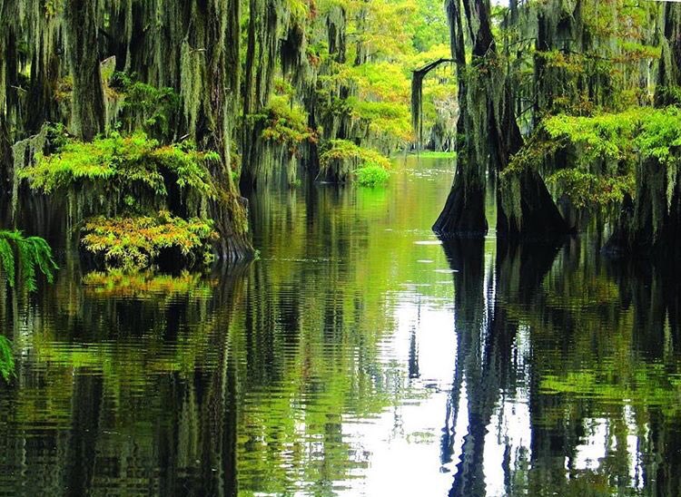 GrayLineNOLA's tweet photo. “I love New Orleans physically. I love the trees and the balmy air and the beautiful days.” - @AnneRiceAuthor | 📷: @nolaplantations 

#GrayLineNOLA #OutHere #TheBucketLife #FindAReasonToGo https://t.co/YAaCPNMP7I