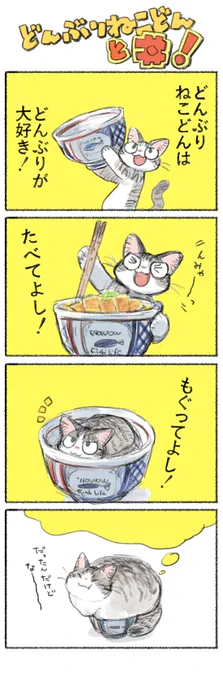 どんぶりねこどん https://t.co/jf7kKJ10oe