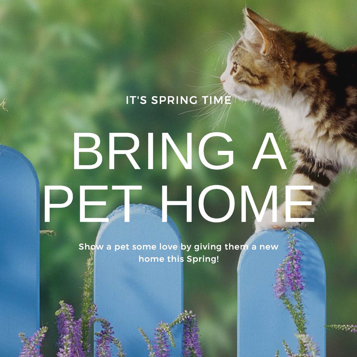 hsvb's tweet image. Happy Spring everyone!