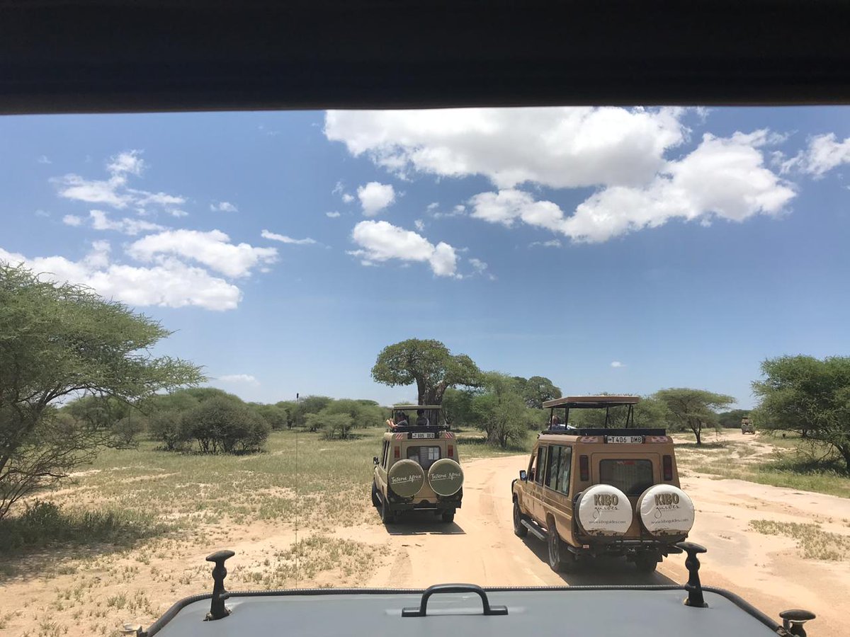 RWA_IBDP's tweet photo. More adventures in Tanzania for our Grade 11s on their CAS trip. #RWAibdp #RWAcas #RWAgrade11 https://t.co/72sRHMZb1N