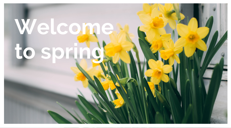 #happy
#InternationalDayOfHappiness 
and #FirstDayofSpring everyone!