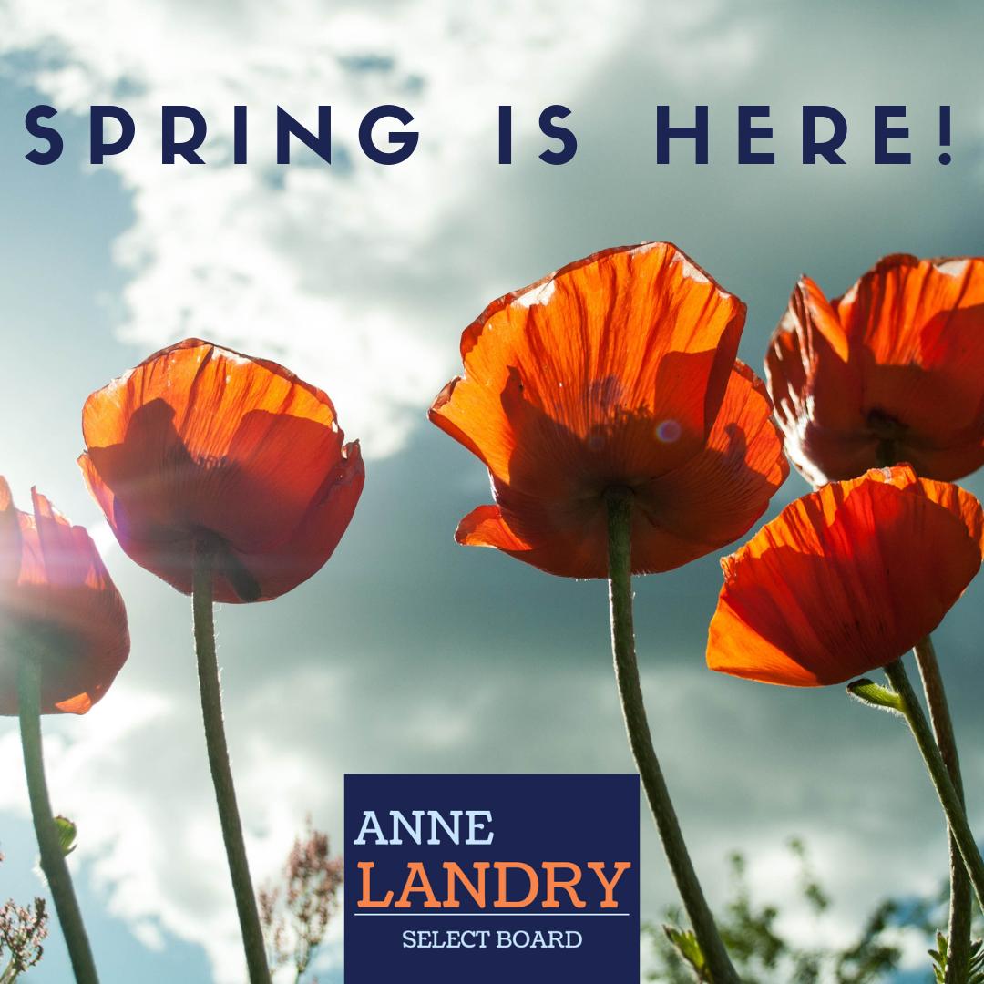AnneforReading's tweet image. Have a happy first day of Spring!