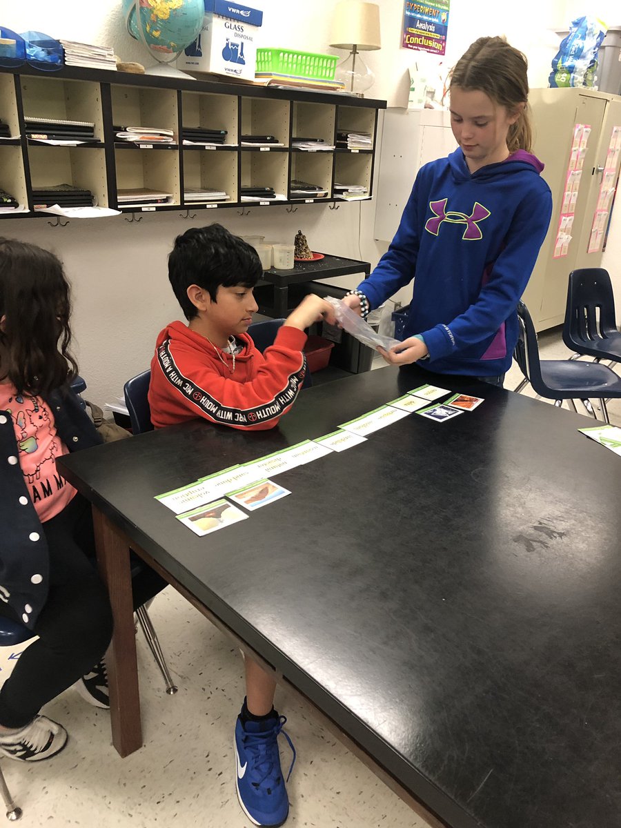 Debragrose's tweet photo. Studying science vocabulary @DESDolphins #DesIsBest https://t.co/U1smSfVE4R