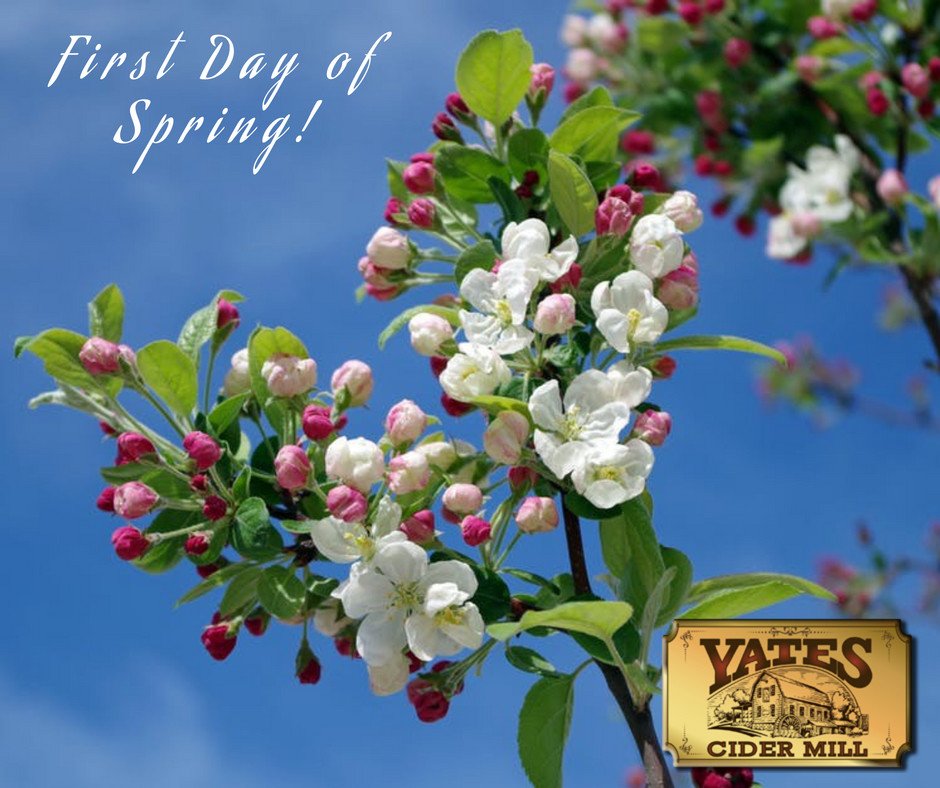 Yates Cider Mill tweet media