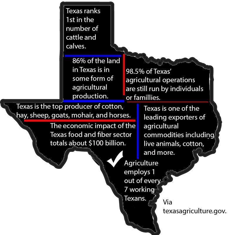 In Texas, the cattle industry is vital to the economy! | #McKinney #Texas #Cattle #DFW