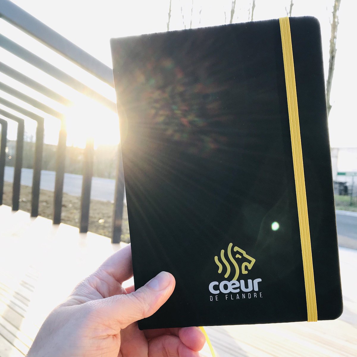 #MonPetitBonheurCest sentir la douceur de ce 1er soleil de Printemps dans le #CoeurdeFlandre 💛