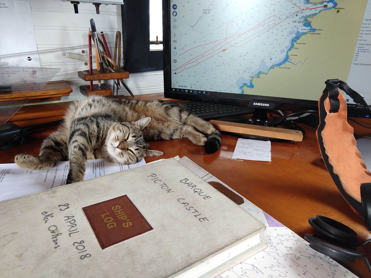 picton_castle's tweet photo. Surely there is a yoga pose that could be named after this? Bothward Facing Cat, maybe? Ah Tigress xo
#worldvoyage7 #yoga #catyoga #shipcat #catsofinstagram #nauticalcat #pictoncastle #catstagram #cat #oceancat #pussycat https://t.co/c2WBlof3Ix