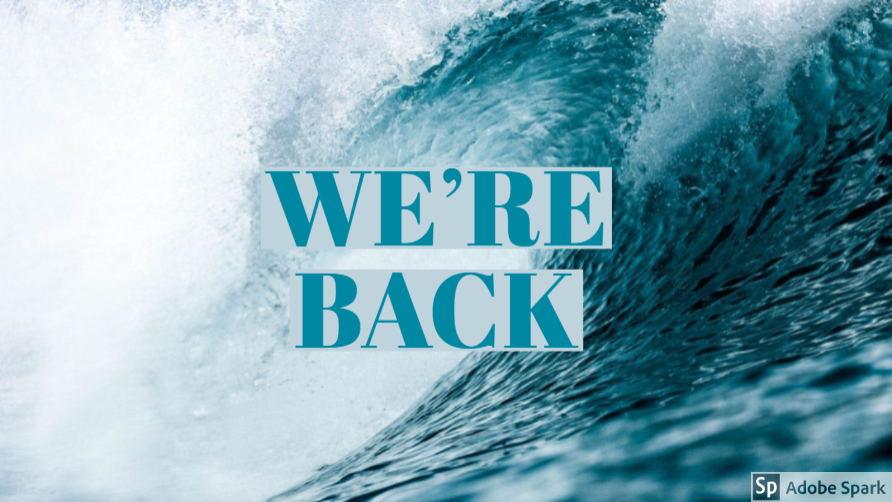 BlueScreens1's tweet photo. We're back! We are currently making improvements to our company. Stay tuned for what's next! https://t.co/pPoM5JzfpK
