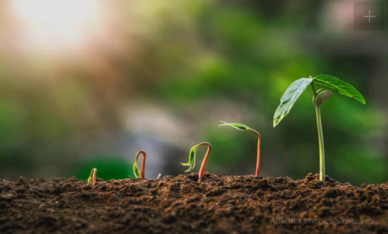 Aujourd'hui, c'est le 1er jour du #printemps.🌱🌼
Vous envisagez de renouveler votre véhicule ou vos matériels professionnels ? Pensez au crédit-bail pour financer vos biens tout en préservant votre #trésorerie. 
Consultez nos solutions ici 👉 ow.ly/oDHD50nDX2t