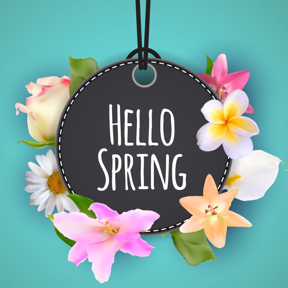 Goodbye Winter. Hello Spring. 🌸

#HelloSpring #Spring #SpallacciHomes #LiveBeautifully #Hamilton #Ancaster