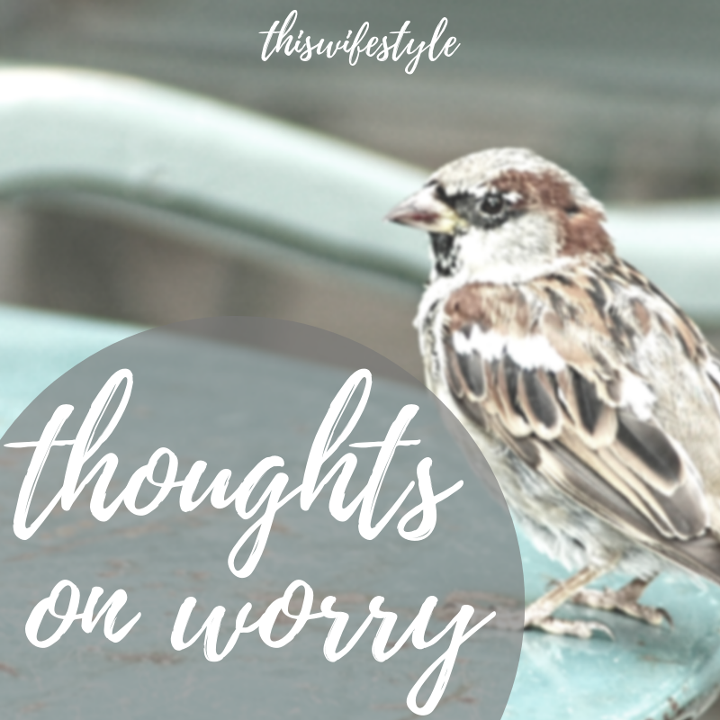 Touchofblueand's tweet photo. THOUGHTS ON WORRY https://t.co/9kQw3wkHmp https://t.co/h0fXgNTIZA
