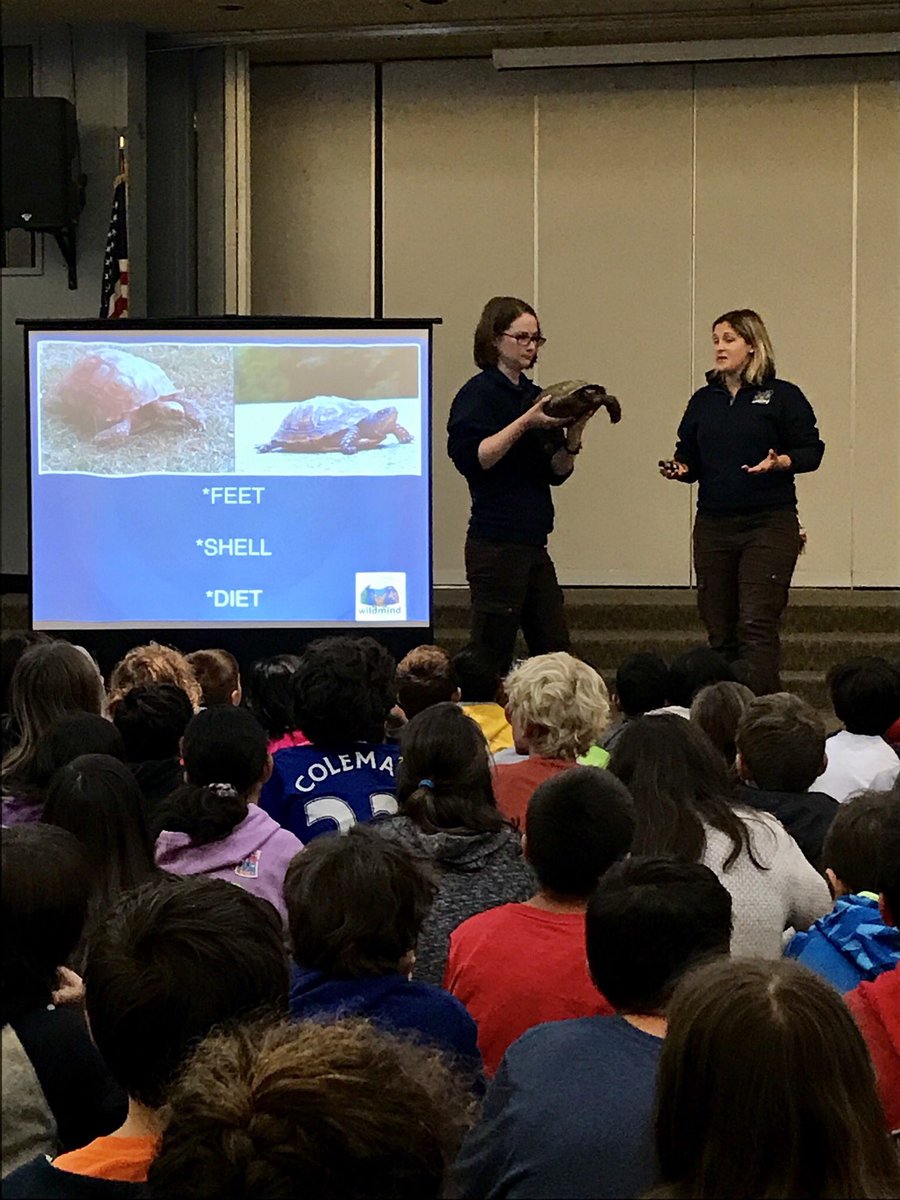 Central students loved the Wildlife Assembly today! They met several reptiles and a tarantula!