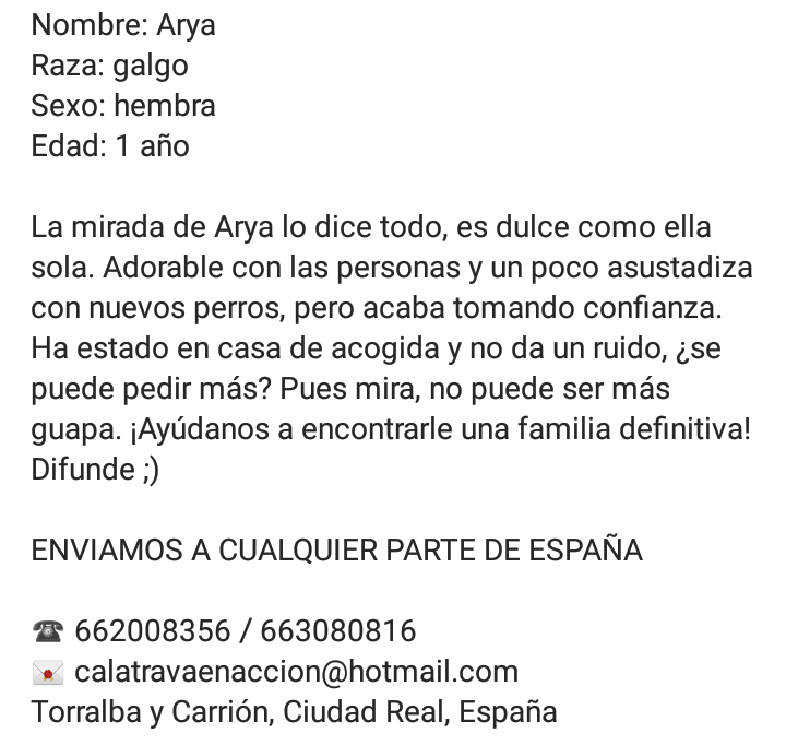 Calatrava en Acción tweet media