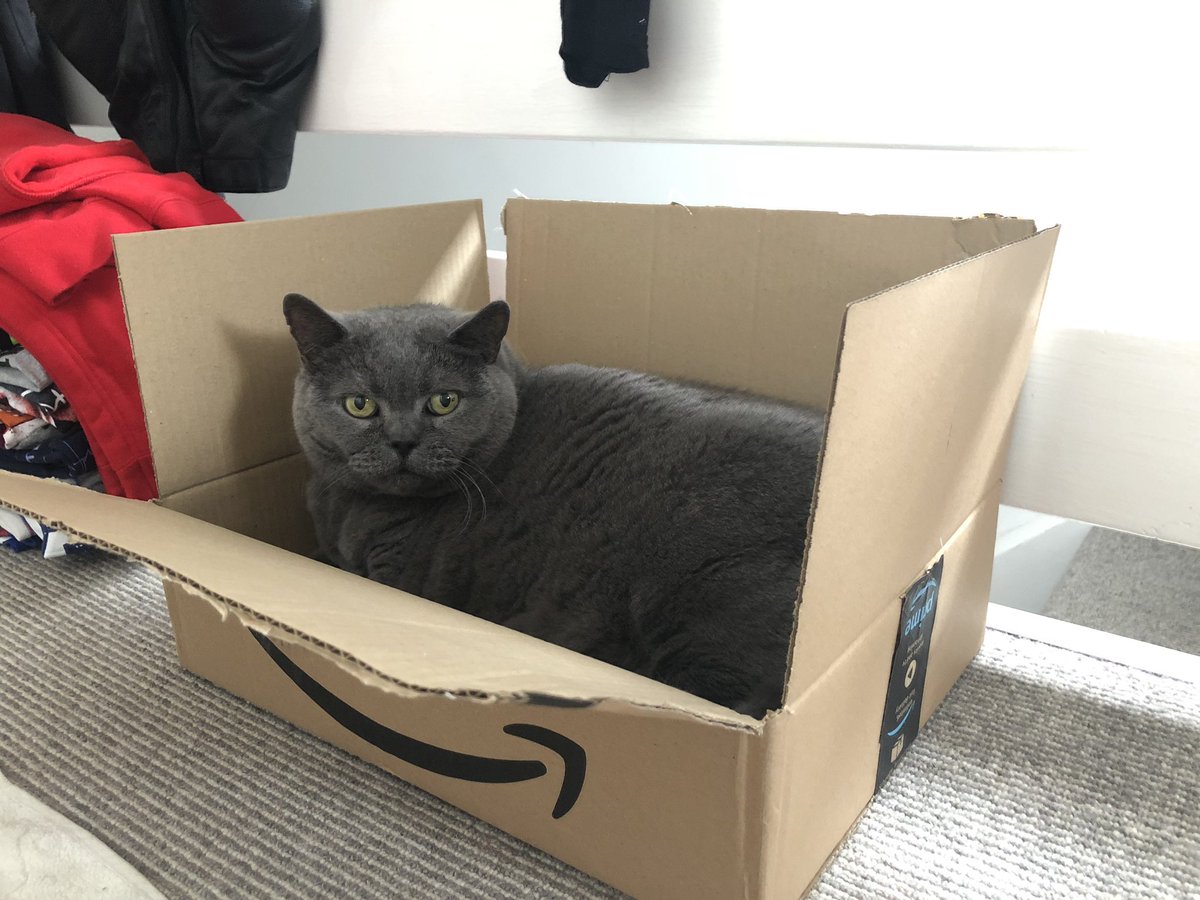 NatashkaCosplay's tweet photo. Amazon sent my two small bottles of nail polish and tiny box of Tampax in this huge box and Tyson says thank you 😂  #AmazonPackagingFail https://t.co/t1iGTuwb4q