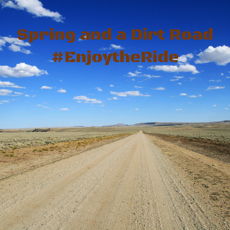 HardCabs's tweet photo. The #firstdayofspring is a perfect time to find a dirt road and #enjoytheride! #utvs #utv #offroad #offroading #utvlife #utvcabs #sidexside https://t.co/ir1cjpRQV2