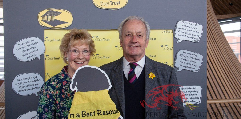 Neil Hamilton AM offers support for animal welfare issues hyperlocalwalesonline.com/newyddionnews/…
