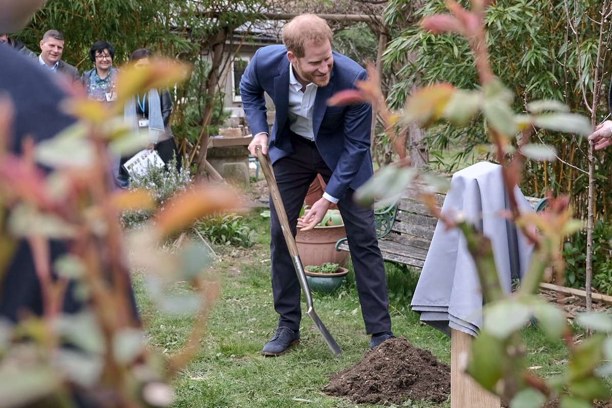 QueensCanopy's tweet photo. Today The Duke of Sussex visited St Vincent's Catholic Primary School in Acton, where he joined school children planting 60 trees in support of the QCC, alongside @WoodlandTrust #QCC #CommonwealthCanopy https://t.co/om5P4IMqpW