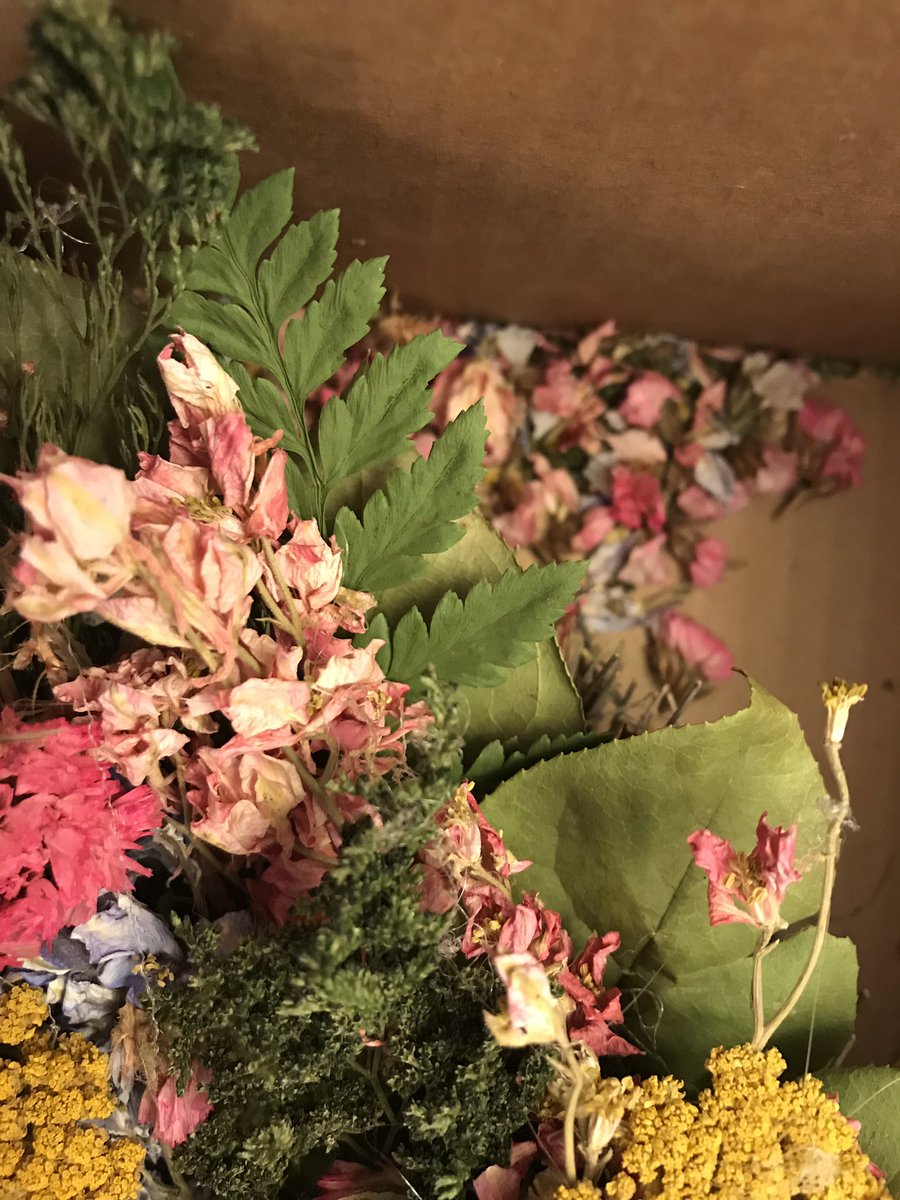 SuperBeardsley's tweet photo. Very #disapointed in the gift I sent my husband from @1800flowers 
What I ordered vs what arrived. 
Does it look to anyine else like its been sat in? https://t.co/atyIL3izG6