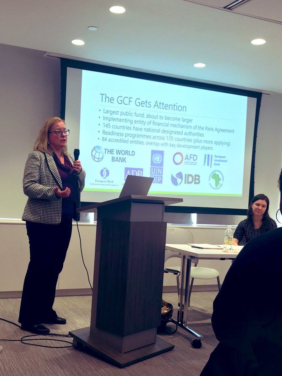 WEDO_worldwide's tweet photo. Liane Schalatek @liane_boell walking feminist and gender advocates through why the Green Climate Fund is an important and potential leverage point to build power in. #GCFFund #WomenClimateJustice #CSW63 https://t.co/oXLx3QNMaK