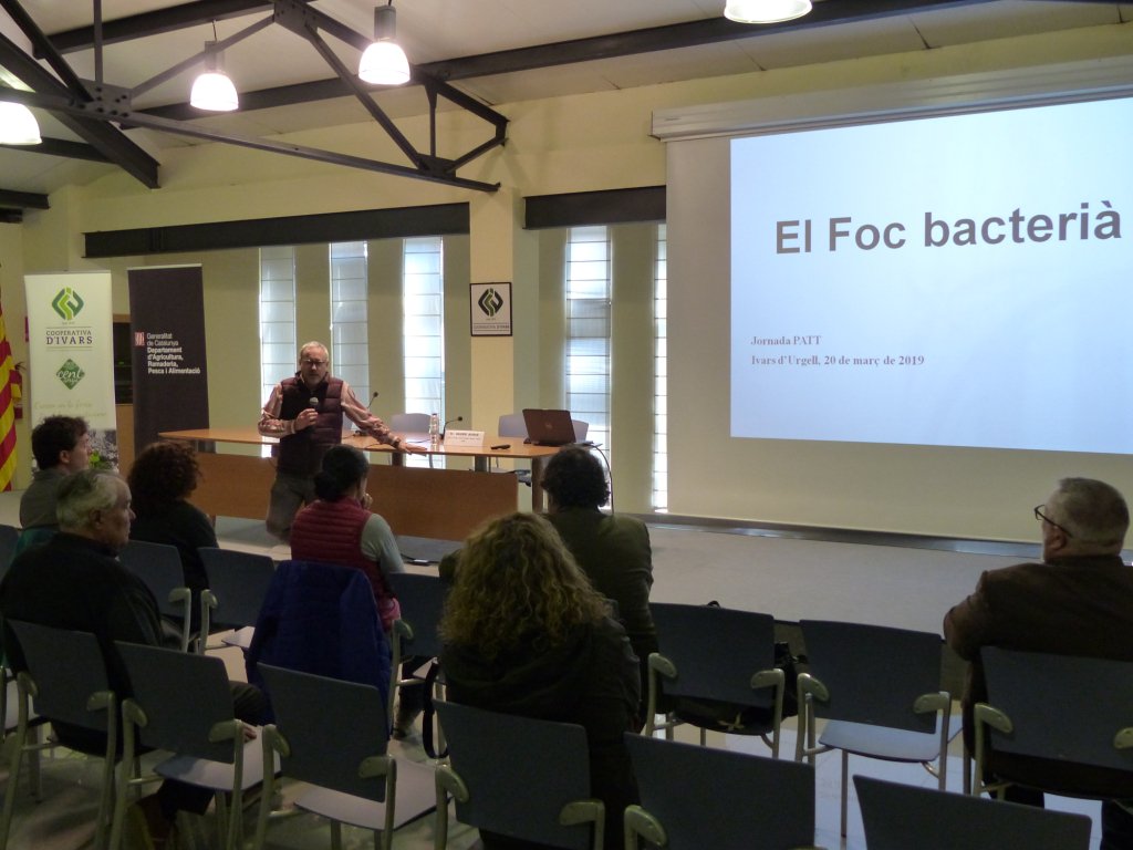 coopivars's tweet image. COMPROMESOS AMB EL SECTOR AGRÍCOLA: 50 agricultors han assistit aquest matí a la Jornada Principals plagues i malalties en fruita de llavor, on han pogut conèixer i debatre tècniques i decisions estratègiques #PATT2019 @agriculturacat @irtacat @ruralcat coopivars.coop/noticia?id=504