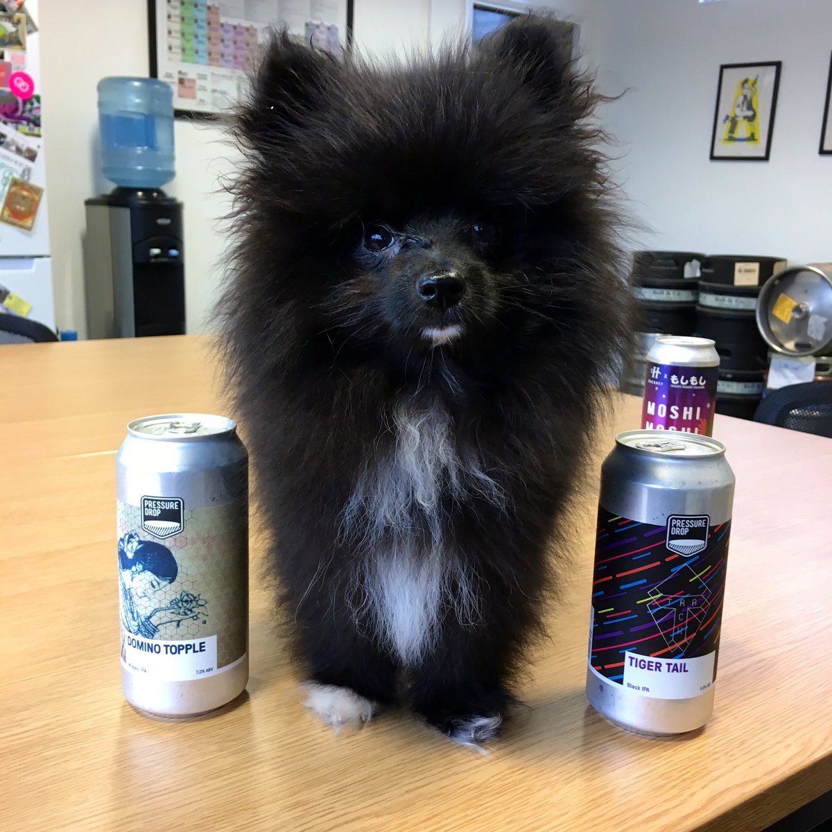 The BottleShop (Wholesale) tweet media