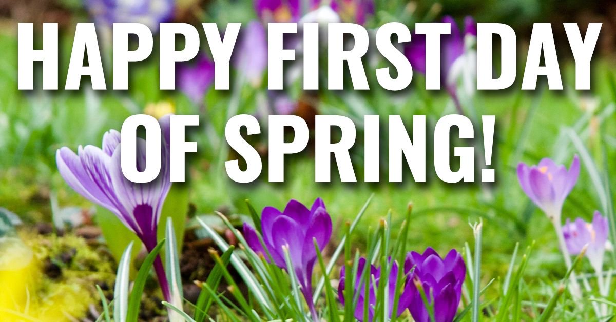 PlanterDirect's tweet photo. Hopefully there will be no more snow! 🌷 #Spring https://t.co/8w7z8LCI90