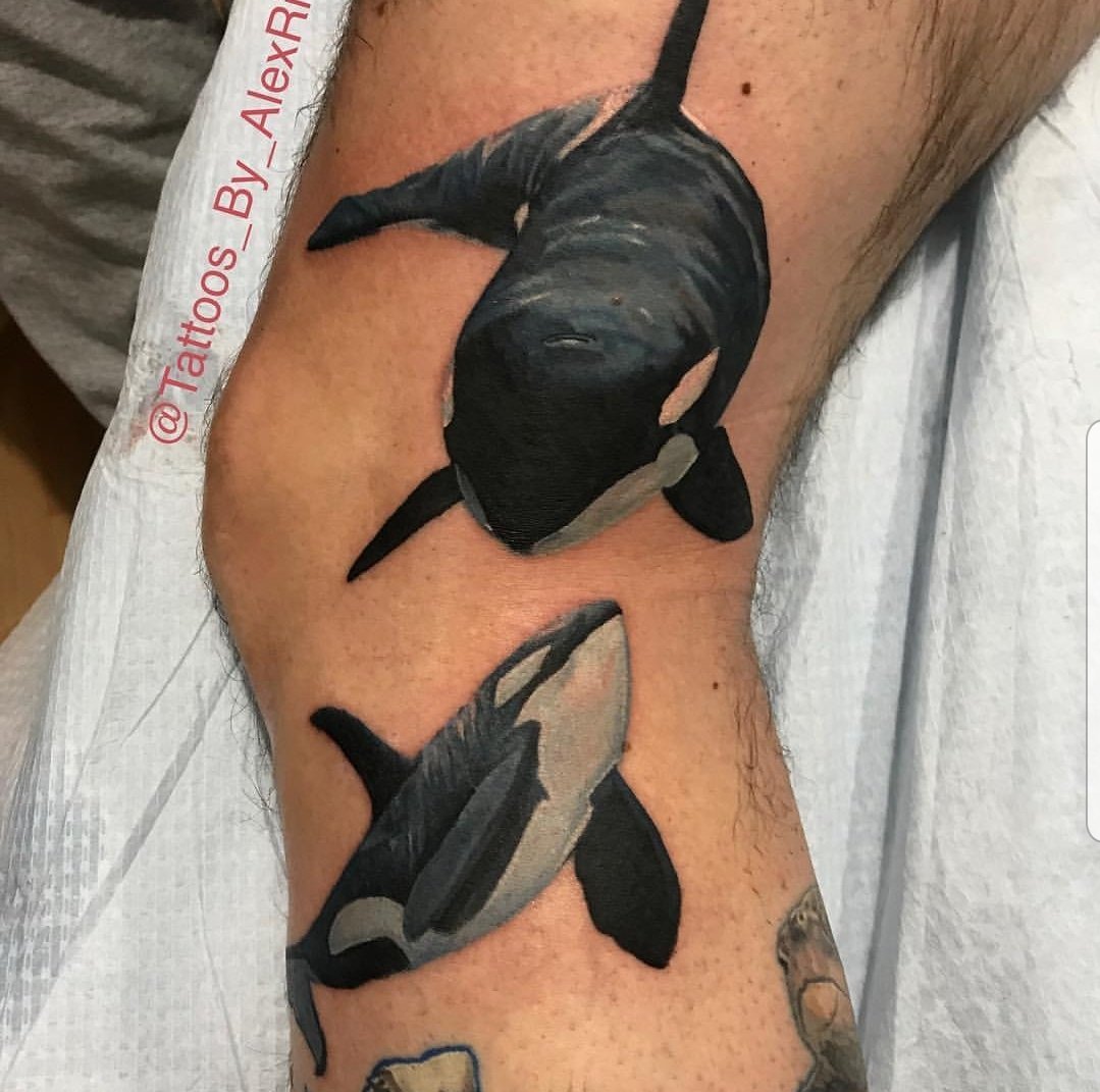 41 Killer Whale Tattoo Designs to Unleash Oceanic Majesty  Psycho Tats