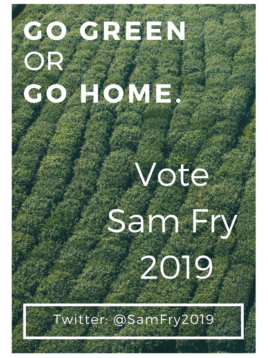 SamFry2019's tweet photo. Look out for some more campaign flyers hitting the halls this week!! https://t.co/RTJ0BeruqG