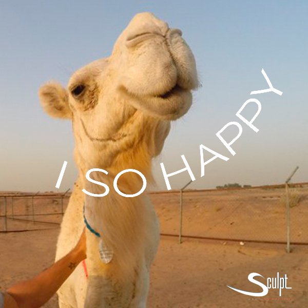 Sculpt4us's tweet photo. Despertarte con un beso
Un consejo de tu viejo
el “cuídate” de mamá...
La #felicidad esta ahí.. dónde estás buscando? #felizdiadelafelicidad #sonreirnoengorda #sonrisa #happyday #nobaddays #eternaprimavera #diamundialdelafelicidad 
Foto Real 😁 https://t.co/NFesSU2SaW