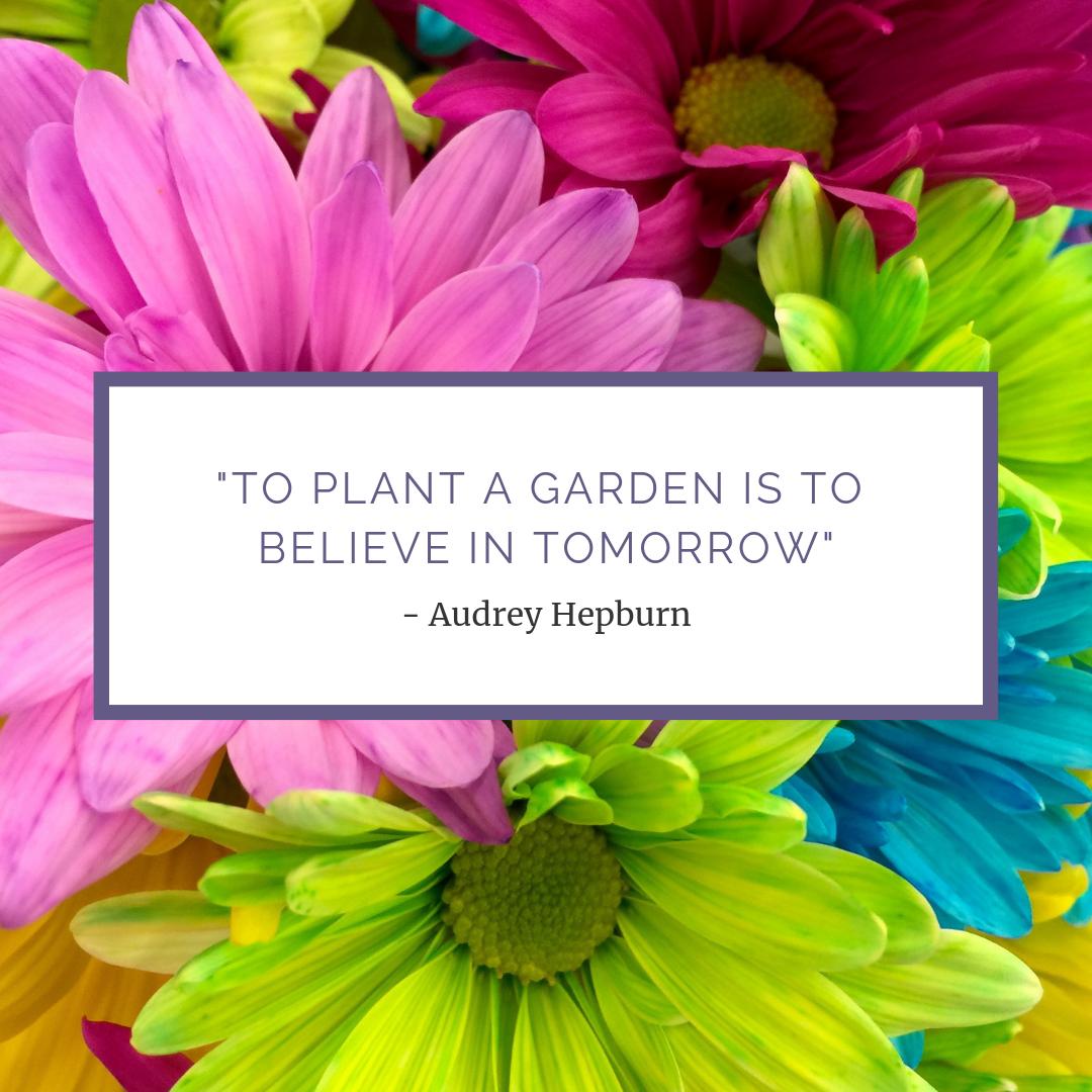 simiconroys's tweet image. Easter is approaching! Whether you're decorating for the holiday or looking for the perfect Easter gifts, we have exactly what you need! Take a look at our collection: simiflowersandgifts.com